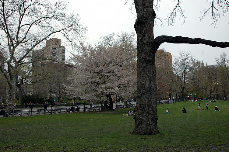 Monday, April 18, 2011 New York 029.JPG